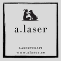 a.laser
