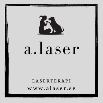 a.laser